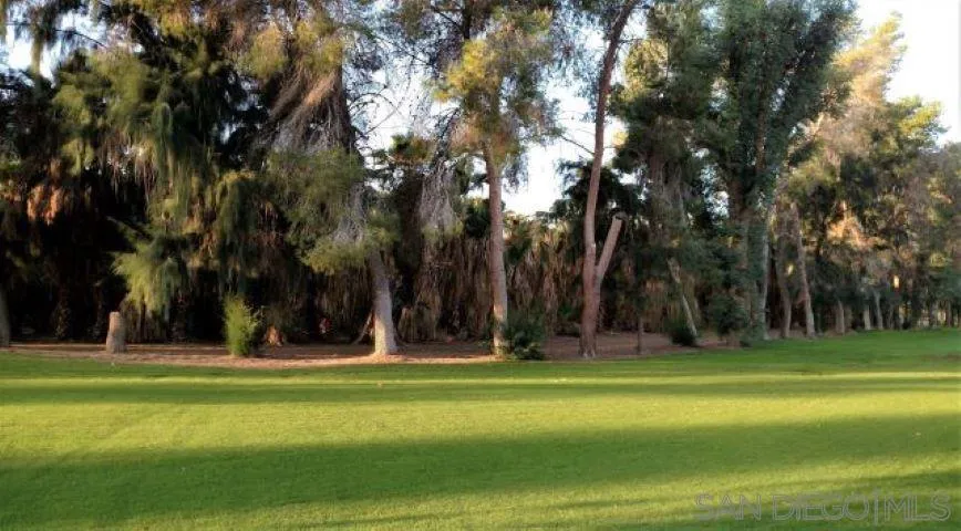1010 Palm Canyon Dr 57, Borrego Springs, California 92004