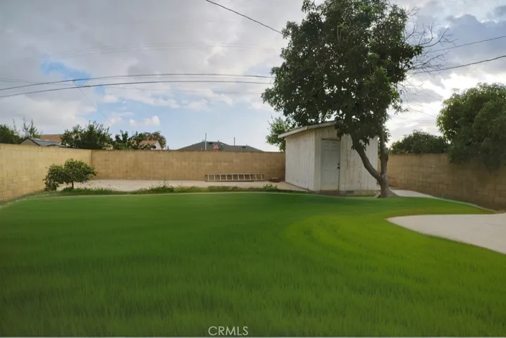 Picture has photoshopped Grass
