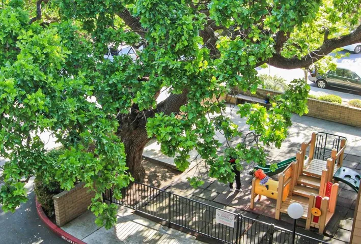 49 Showers Drive J219, Mountain View, California 94040