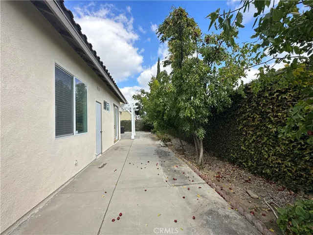 Another view of back yard