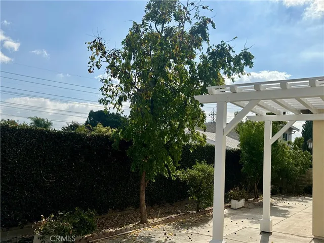 Back yard with patio