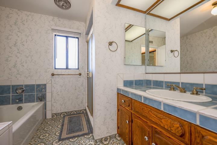 Primary Soaking Tub & Stall Shower