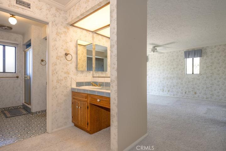 Primary Vanity Area