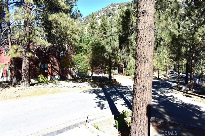 1605 Virginia Street, Wrightwood, California 92397
