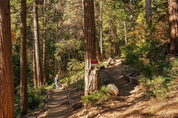 26992 State Hwy 189, Blue Jay, California 92317