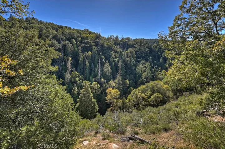 24725 Orchard Road, Crestline, California 92325