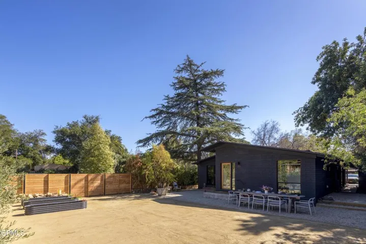 Oversized Backyard