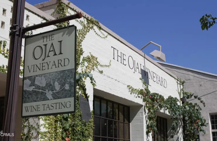 Vineyard close by