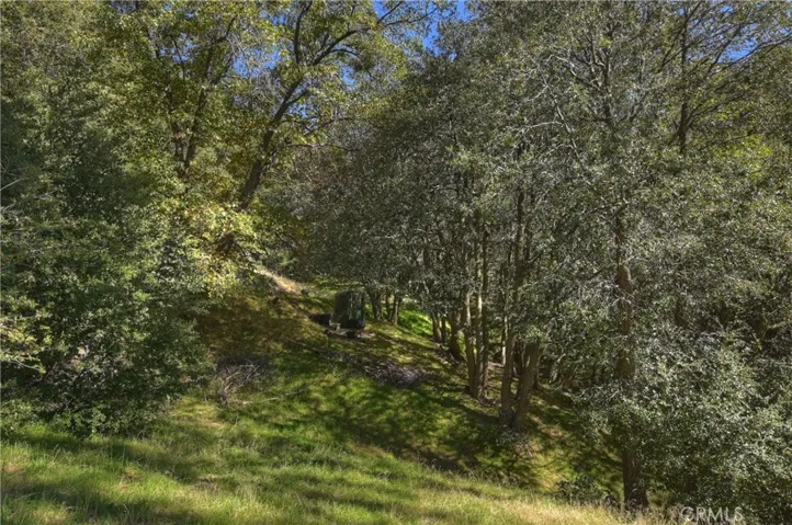 24745 Orchard Road, Crestline, California 92325