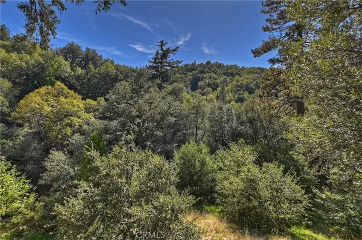 24745 Orchard Road, Crestline, California 92325