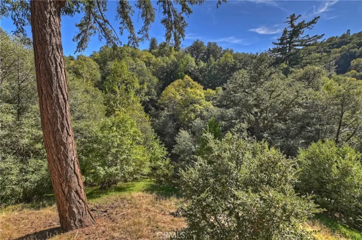 24745 Orchard Road, Crestline, California 92325
