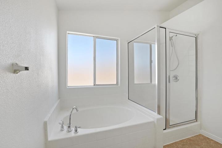 Owner's Suite Bathroom