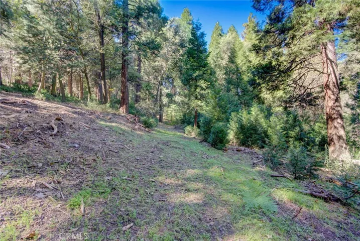 22307 Crest Forest Drive, Cedarpines Park, California 92322