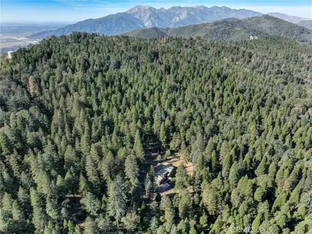 22307 Crest Forest Drive, Cedarpines Park, California 92322