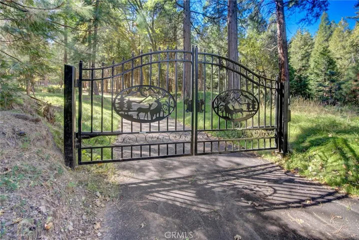 22307 Crest Forest Drive, Cedarpines Park, California 92322