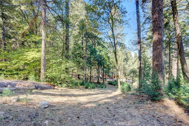 22307 Crest Forest Drive, Cedarpines Park, California 92322