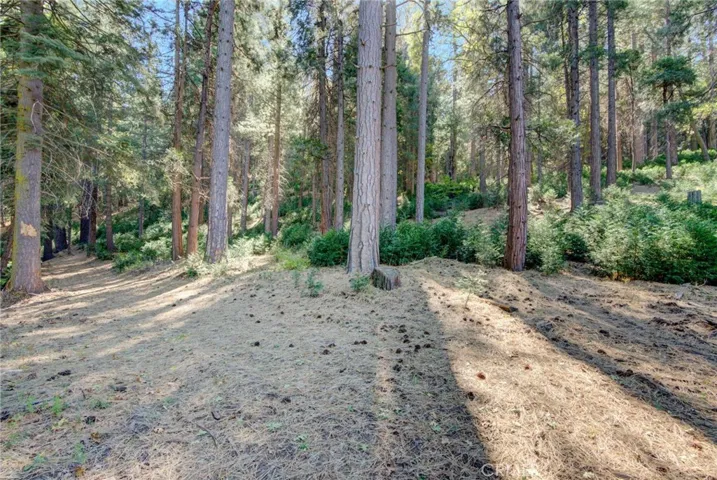 22307 Crest Forest Drive, Cedarpines Park, California 92322