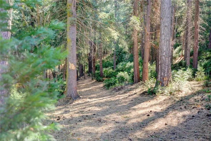 22307 Crest Forest Drive, Cedarpines Park, California 92322