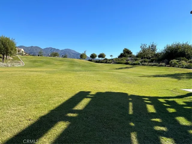 meadow view in the community