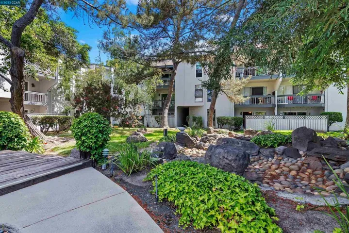 1591 Ellis St 205, Concord, California 94520