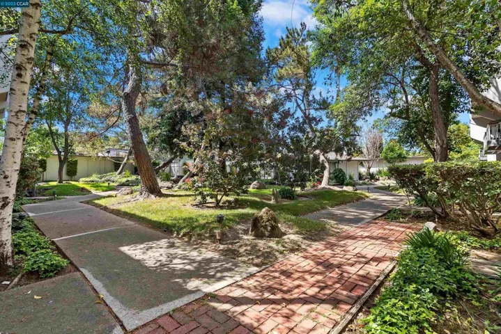 1591 Ellis St 205, Concord, California 94520