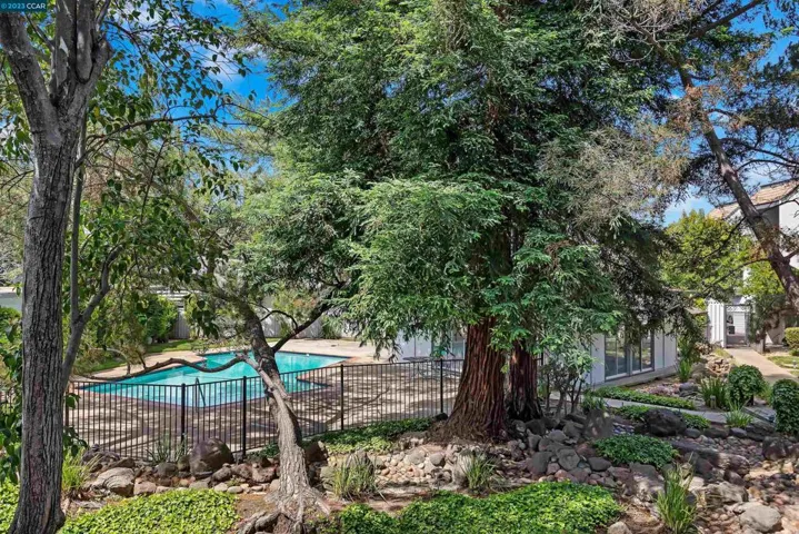 1591 Ellis St 205, Concord, California 94520