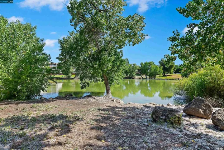 1591 Ellis St 205, Concord, California 94520