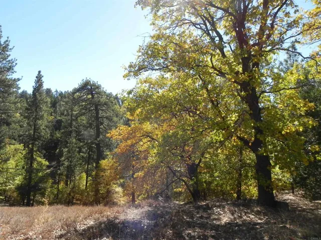 512 El Centro Tract, Mount Laguna, California 91948