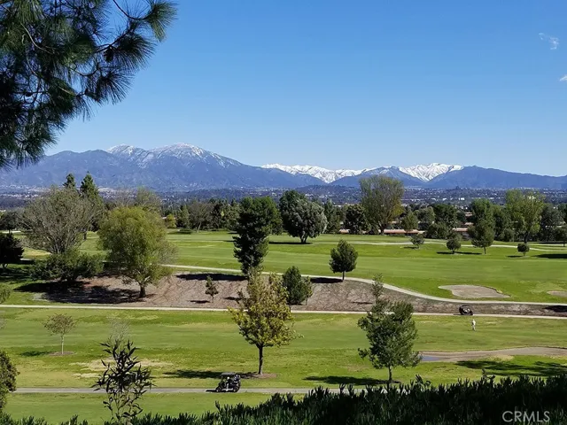 216 Avenida Majorca Unit C, Laguna Woods, California 92637