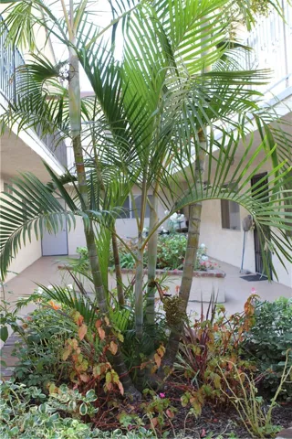 Greenery in the common areas.