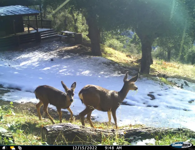 0 Rim Ranch Road, Palomar Mountain, California 92060