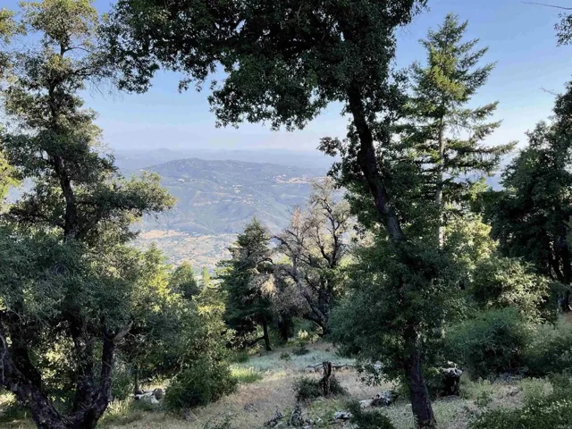 Views to the south off the deck, from the master bedroom, dining and living areas.