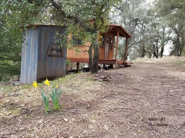 Cute little out house. And look, you'll see daffodils 'round the ranch in the spring.