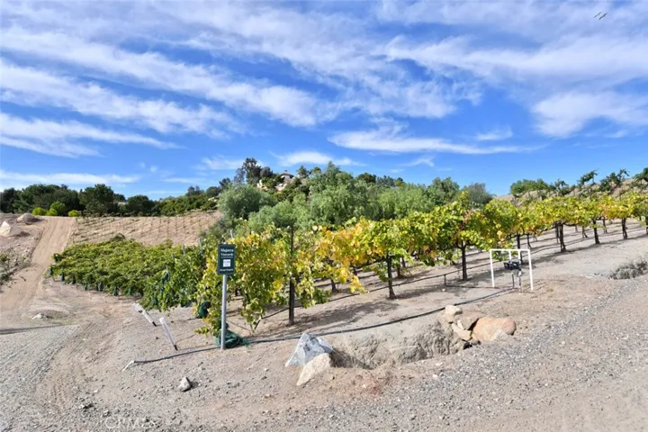 38575 Via Vista Grande, Murrieta, California 92562