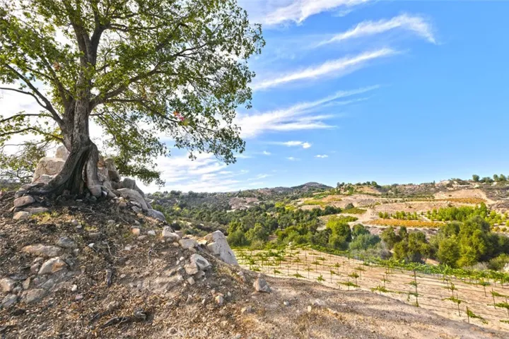 38575 Via Vista Grande, Murrieta, California 92562