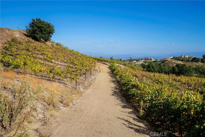 38575 Via Vista Grande, Murrieta, California 92562
