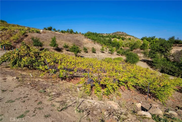 38575 Via Vista Grande, Murrieta, California 92562