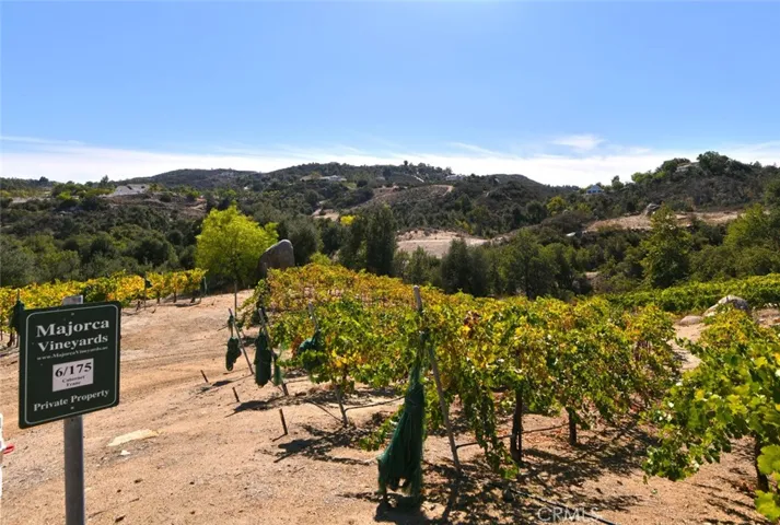 38575 Via Vista Grande, Murrieta, California 92562