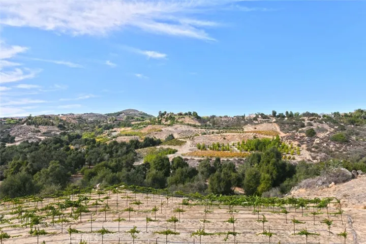 38575 Via Vista Grande, Murrieta, California 92562