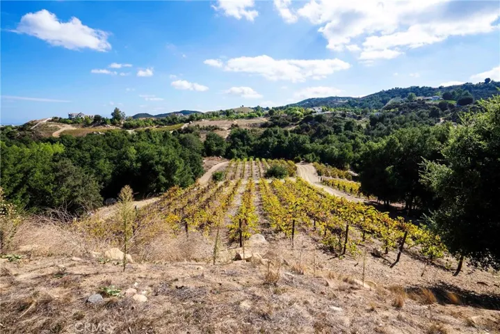 38575 Via Vista Grande, Murrieta, California 92562