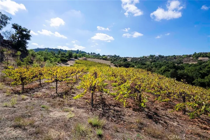 38575 Via Vista Grande, Murrieta, California 92562