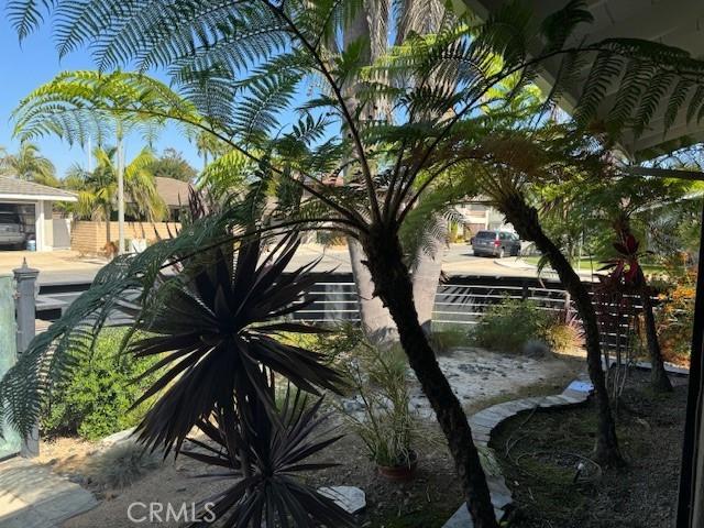 Looking from inside front yard to outside