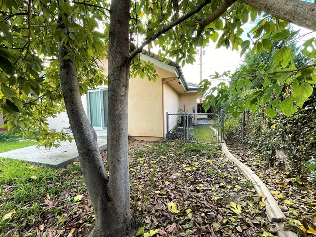 backyard side