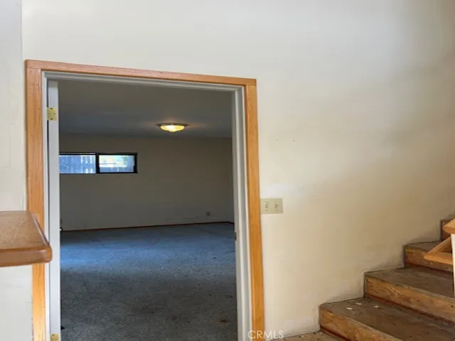 DOWNSTAIRS BEDROOM