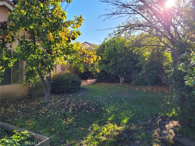 Backyard with fruit trees