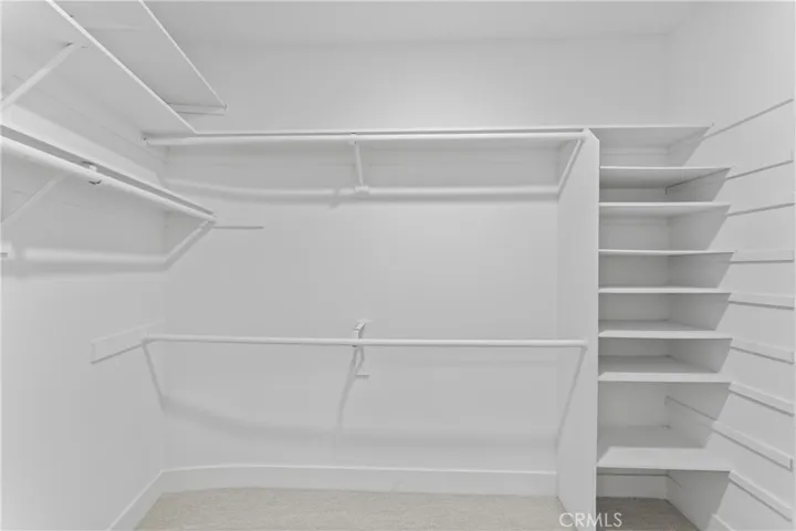 Large closet with built-ins