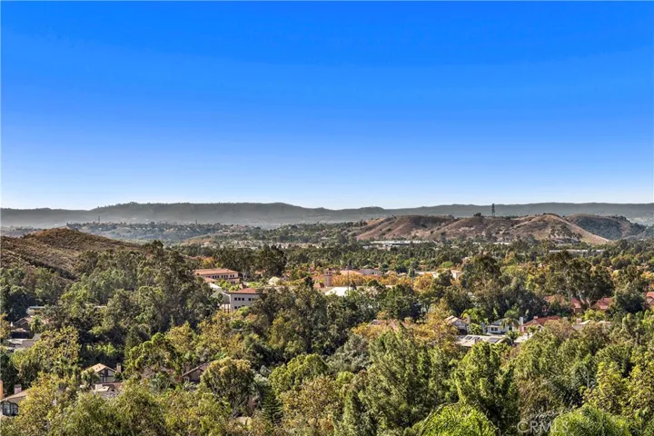 Panoramic view