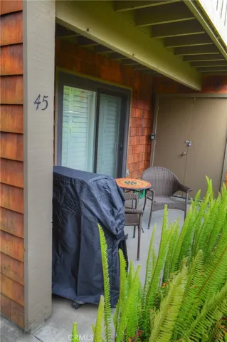 33852 Del Obispo Street 45, Dana Point, California 92629
