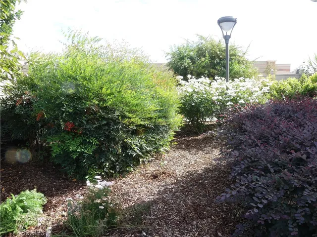 Community Gardens