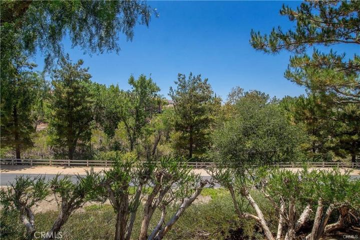 823 S Parkglen Place, Anaheim Hills, California 92808